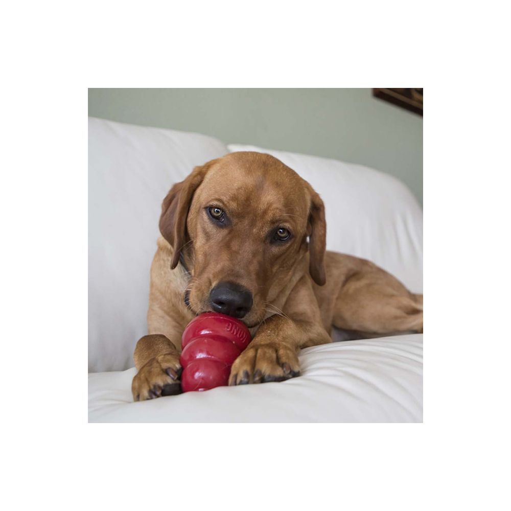 Kong Easy Treat - Sabor A Higado