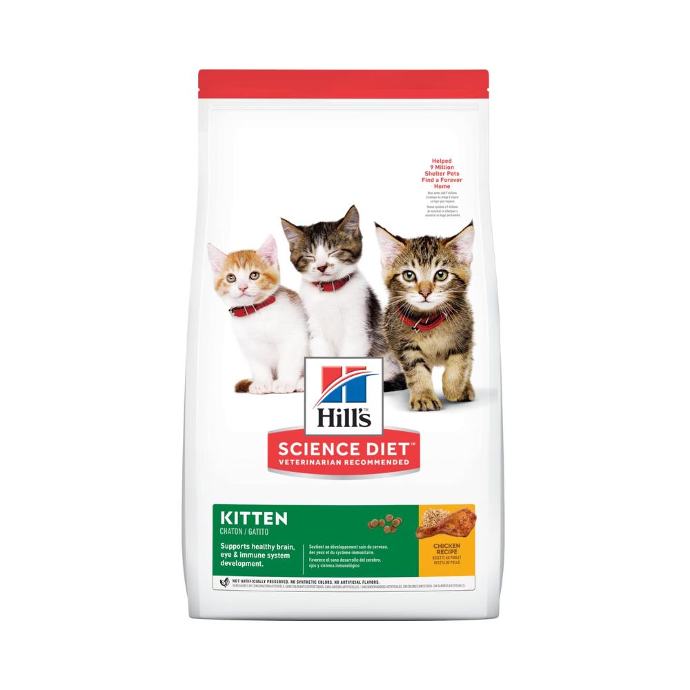 Hills Kitten Original 1.6Kg Gato