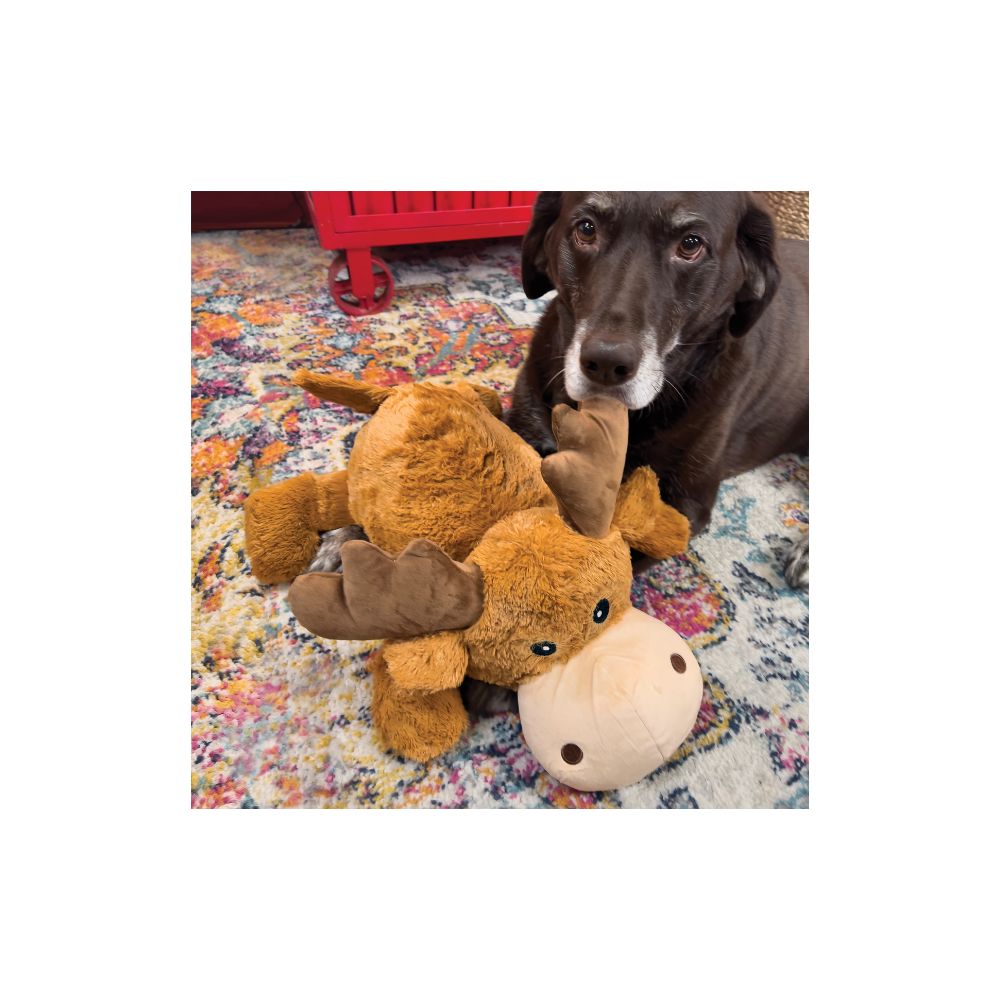 Kong Peluche Reno