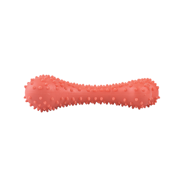 FANCY PETS JUGUETE CAUCHO HUESO DE POLLO CH SPIKY