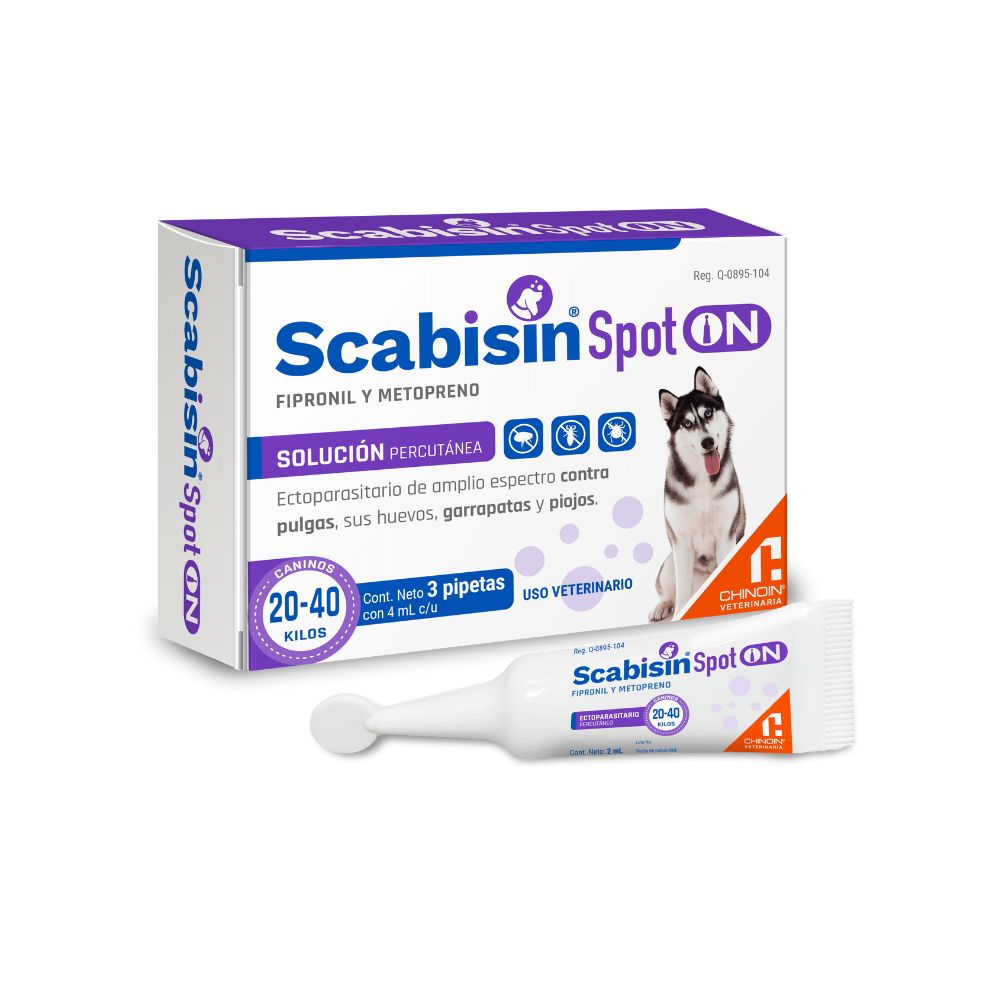 Chinoin Scabisin Spot On 1 Pipeta 4Ml C/U