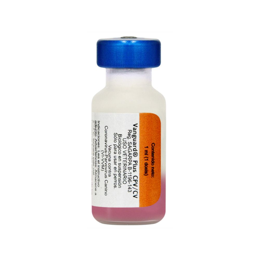 Zoetis Vacuna Vanguard Plus Cpv (Parvovirus)
