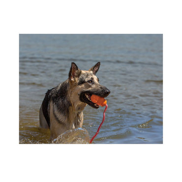 Kong Agua Mediano Naranja