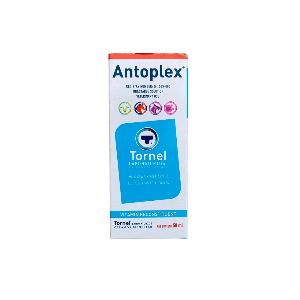 Tornel Antoplex Iny 50 Ml