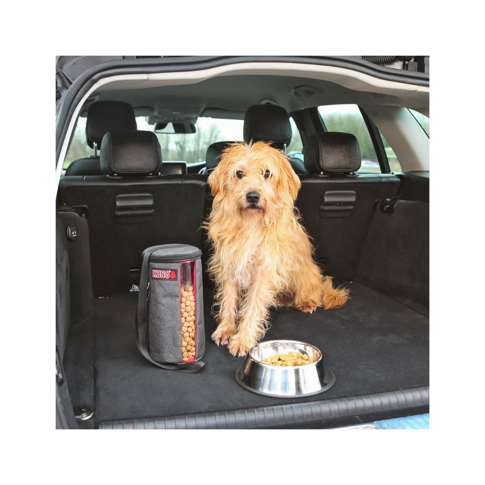 KONG TRAVEL KIBBLE BAG