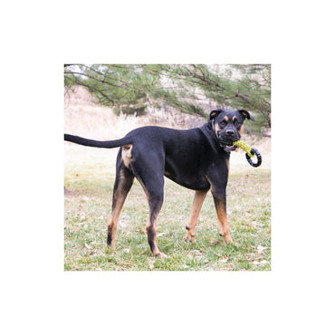 Kong Tirador Jaxx Trensado Lg