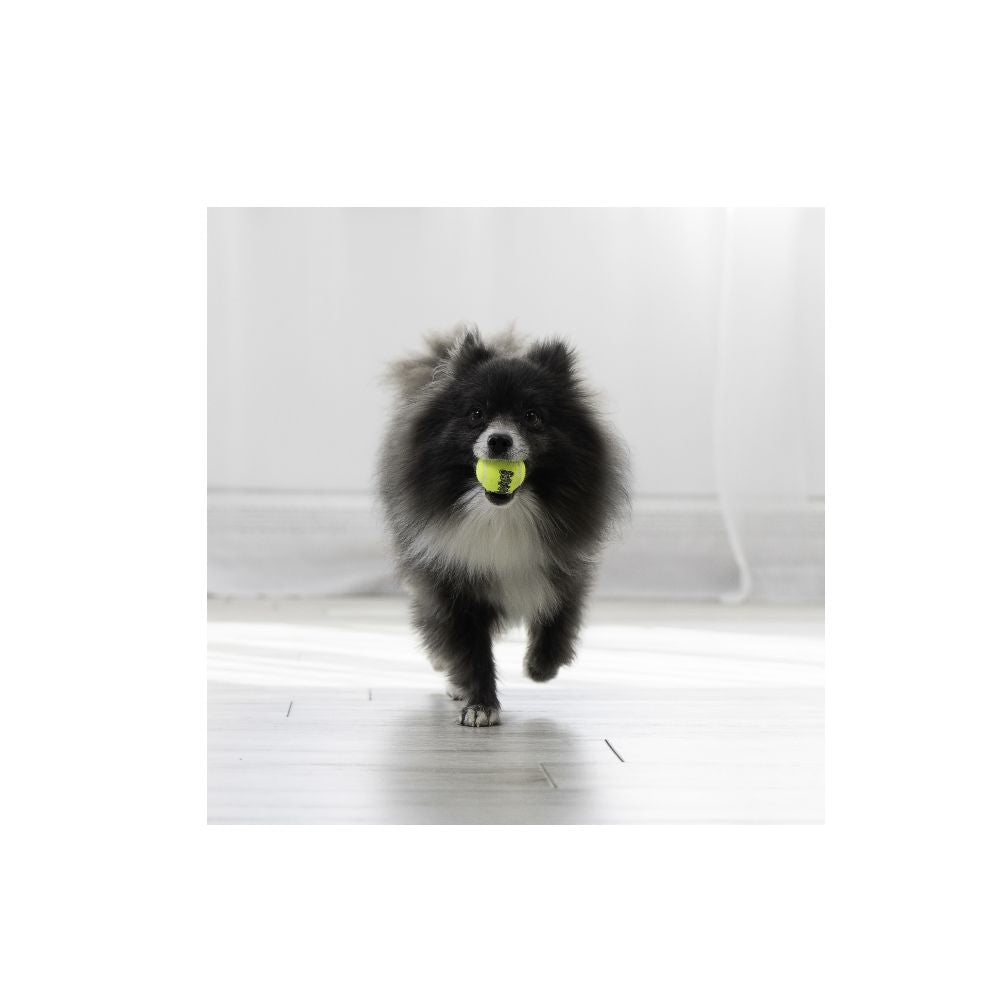 Kong Pelota Squeakair Mediana 3 Pz
