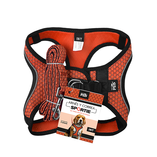 FANCY PETS SET ARNES Y CORREA SPORTIE INT NARANJA