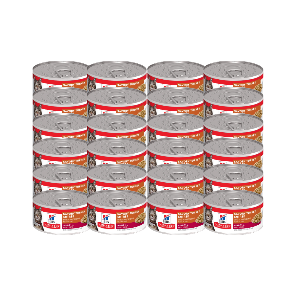 Hills Feline Original Pavo Lata 156G Oz 24 Pz
