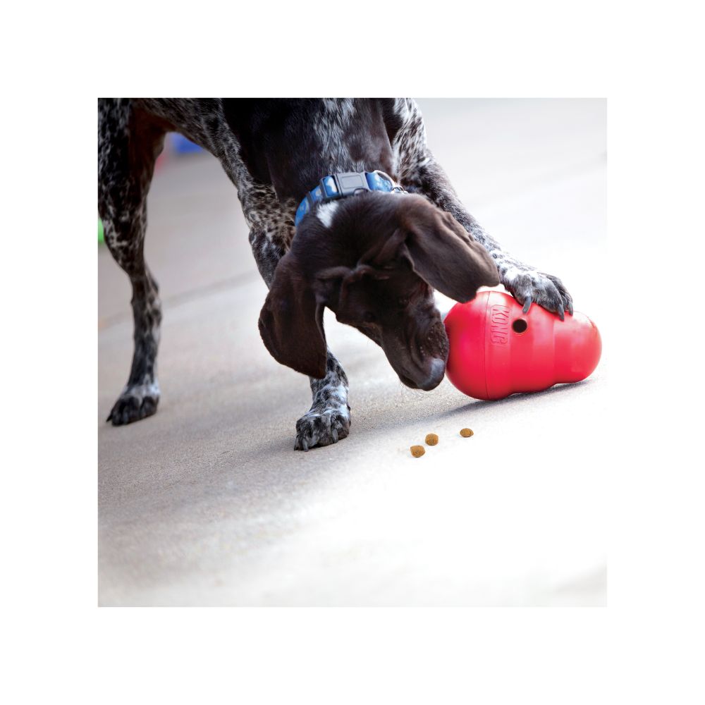 KONG WOBBLER CHICO