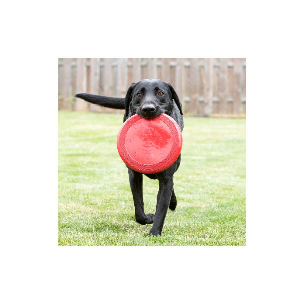 Kong Flyer Small
