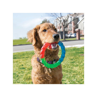 Kong Aro Alta Visibilidad Twist Chico