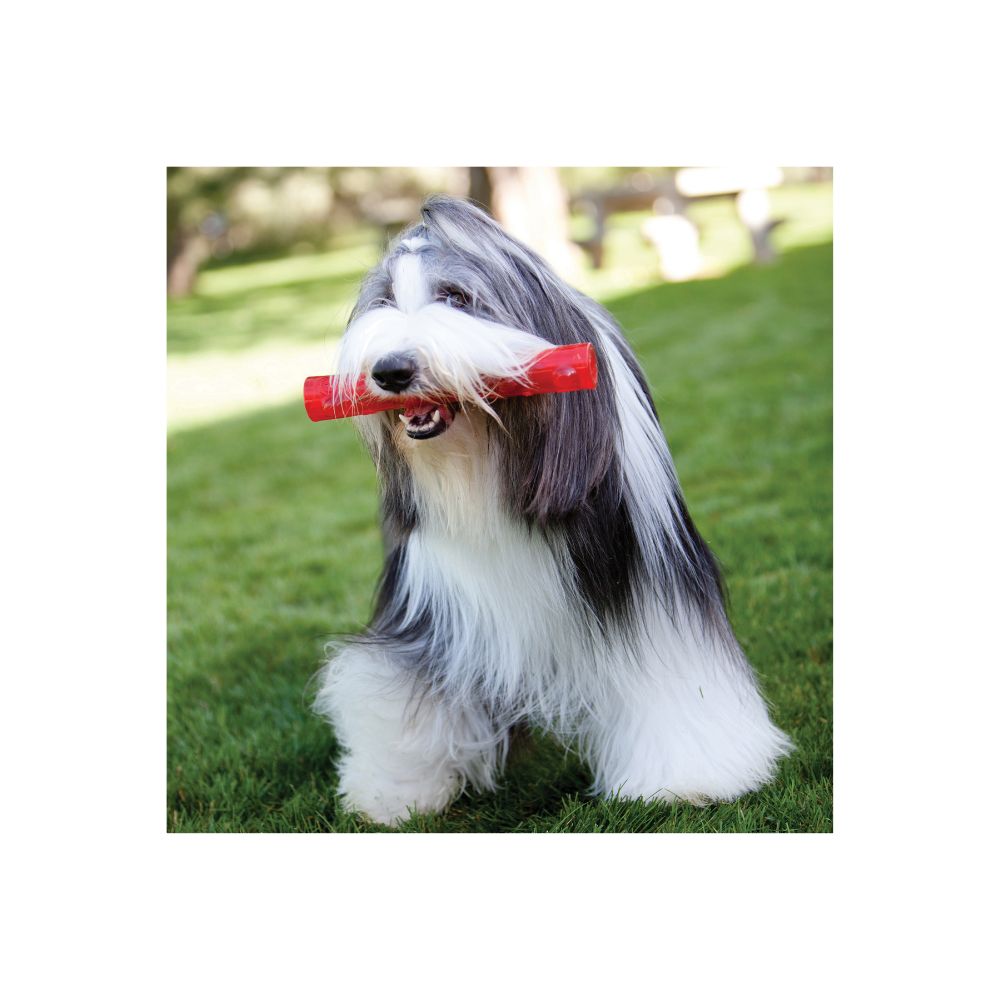 Kong Pelota Squeez Crackle Med