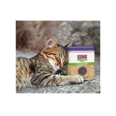 Kong Catnip Hierba Gatera Premium 2Oz