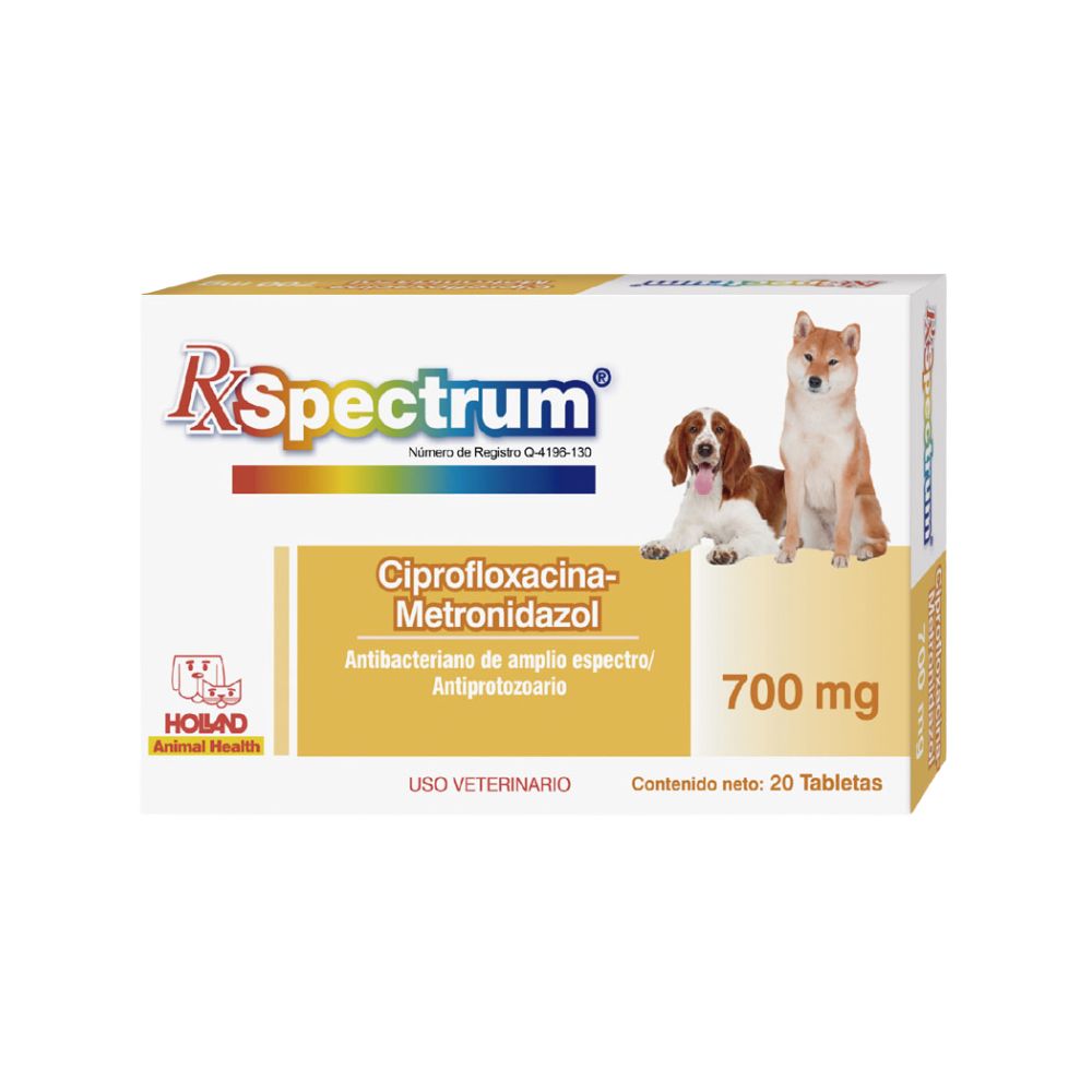 Holland Rx Ciprofloxacina/ Metronidazol 700Mg 20Tab
