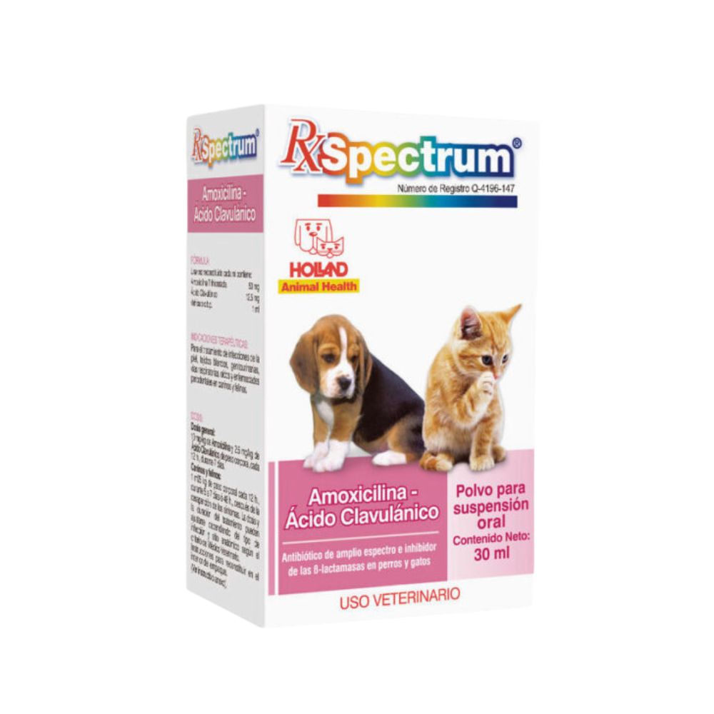 Holland Rx Spectrum Amoxicilina-Ac. Clavulanico 50 Suspensión Oral (Amoxi 50Mg/Ac. Clav 12.5Mg) 30Ml