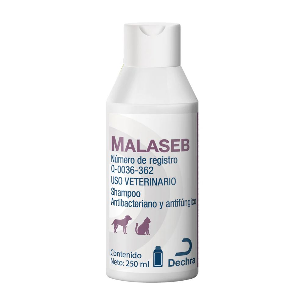 Dechra Malaseb Shampoo 250 Ml