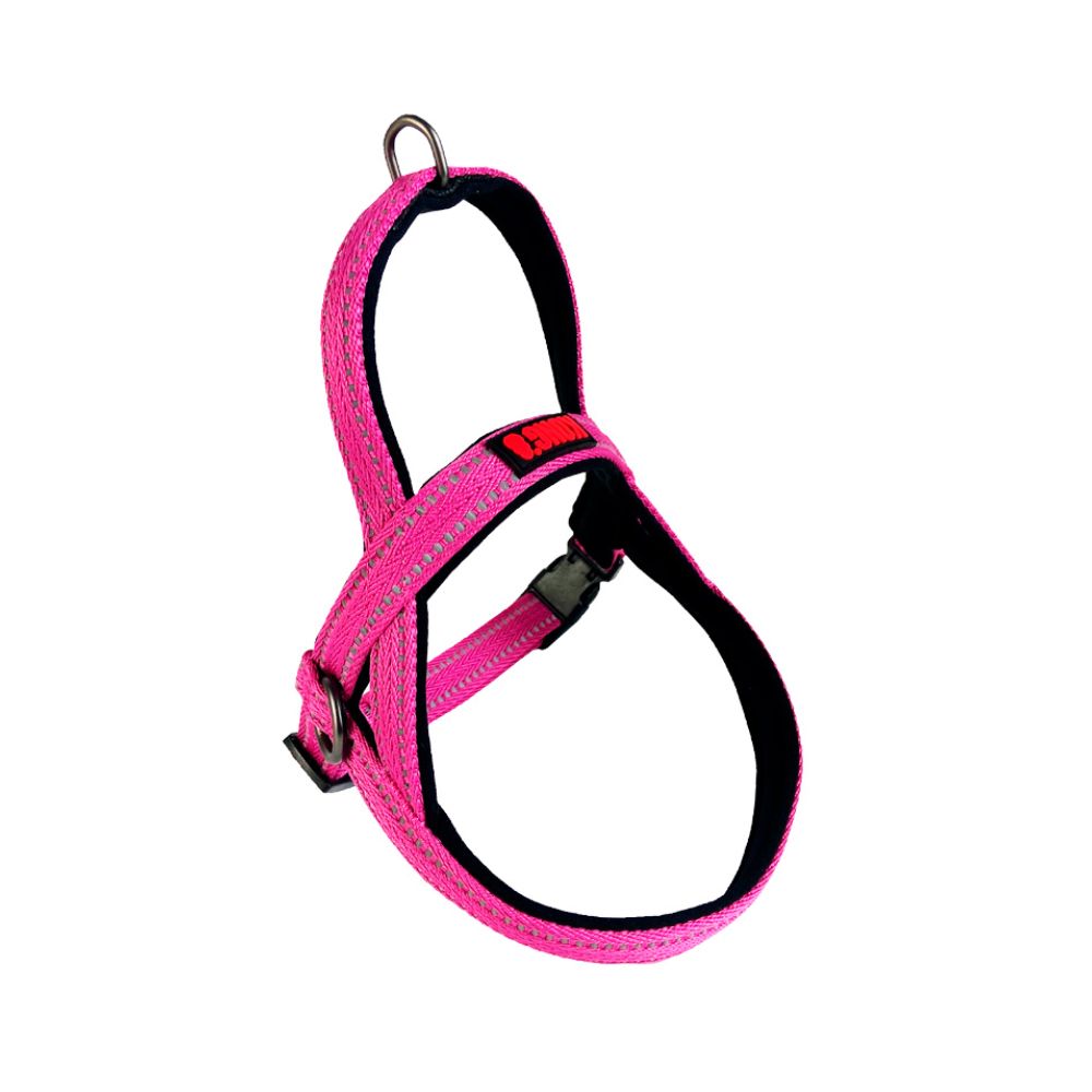 Kong Arnes Noruego Rosa Grande