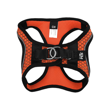 Fancy Pets Arnes Y Correa Sportie Ch Naranja