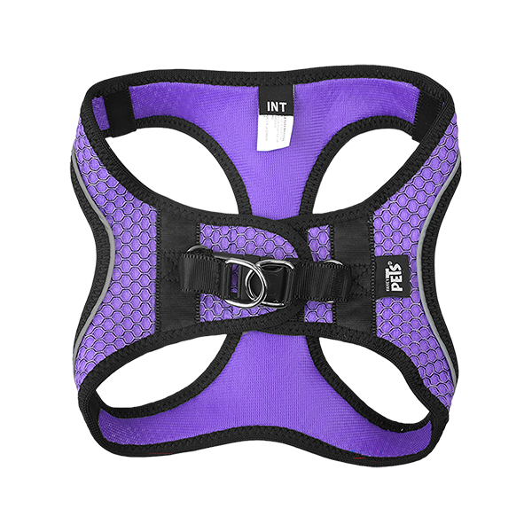 FANCY PETS SET ARNES Y CORREA SPORTIE INT VIOLETA