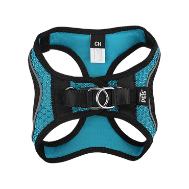 Fancy Pets Arnes Y Correa Sportie Ch Azul