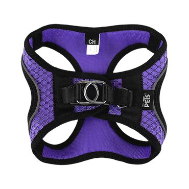 Fancy Pets Arnes Y Correa Sportie Ch Violeta