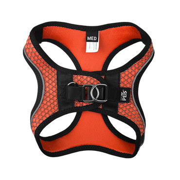 Fancy Pets Arnes Y Correa Sportie Med Naranja