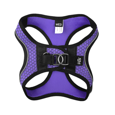 Fancy Pets Arnes Y Correa Sportie Med Violeta