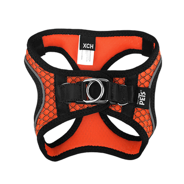 Fancy Pets Arnes Y Correa Sportie Xch Naranja