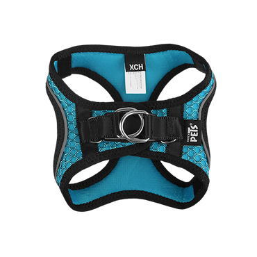 Fancy Pets Arnes Y Correa Sportie Xch Azul