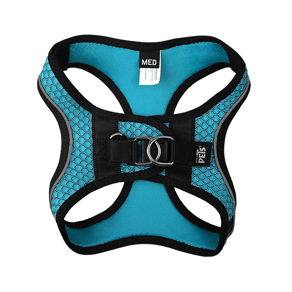 Fancy Pets Arnes Y Correa Sportie Med Azul