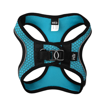 Fancy Pets Arnes Y Correa Sportie Med Azul