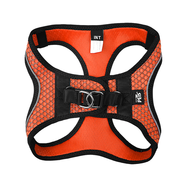 FANCY PETS SET ARNES Y CORREA SPORTIE INT NARANJA