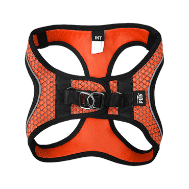 Fancy Pets Set Arnes Y Correa Sportie Int Naranja