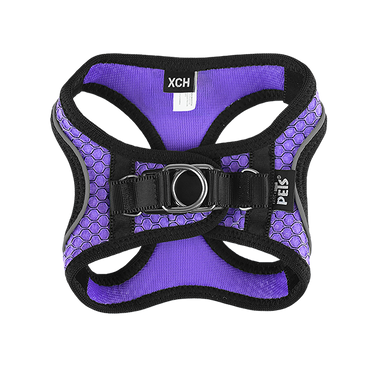 Fancy Pets Arnes Y Correa Sportie Xch Violeta