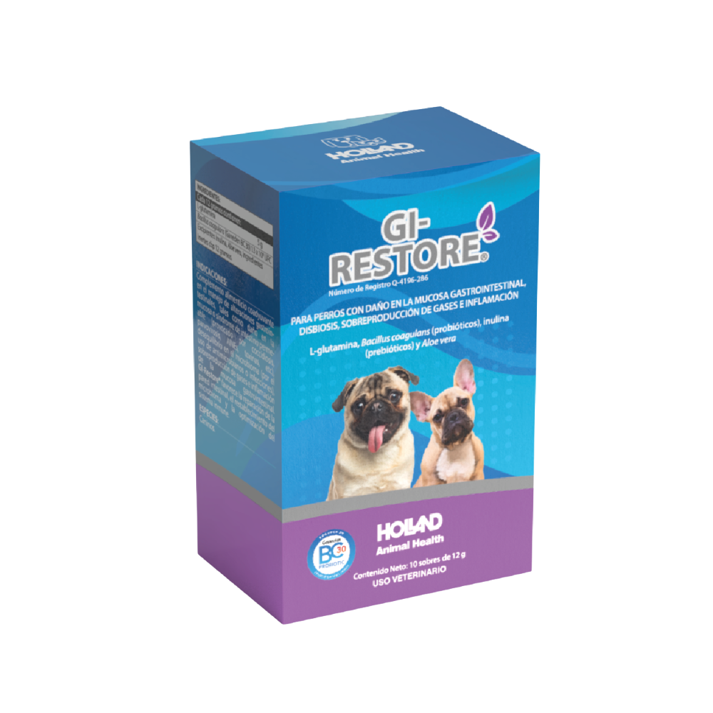 Holland Gi Restore Caja 10 Sobres 12 G