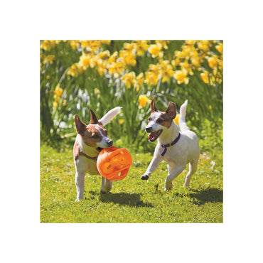 Kong Jumbler Pelota M/L Para Perro Azul