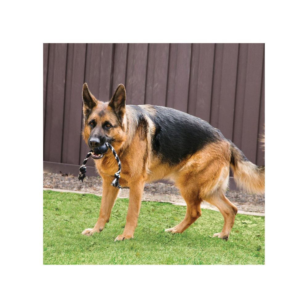 KONG PELOTA EXTREME CON CUERDA NEGRO