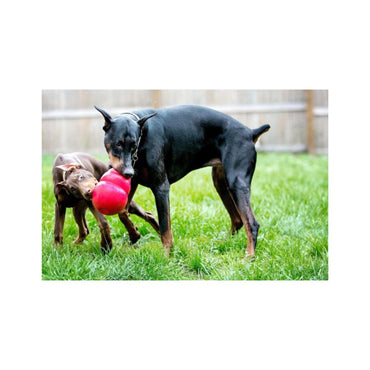 Kong Bounzer Extra Grande