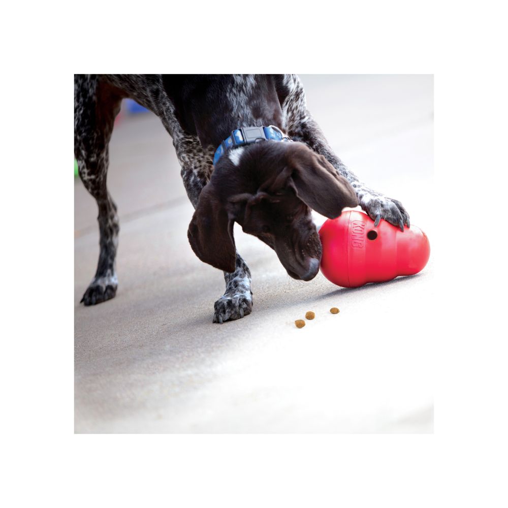 KONG WOBBLER GRANDE