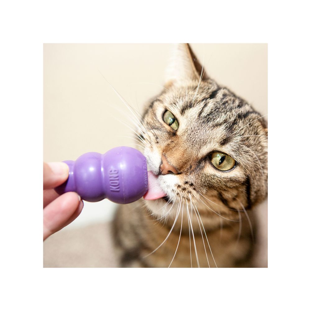 Kong Kitty Kong Con Espacio Para Catnip