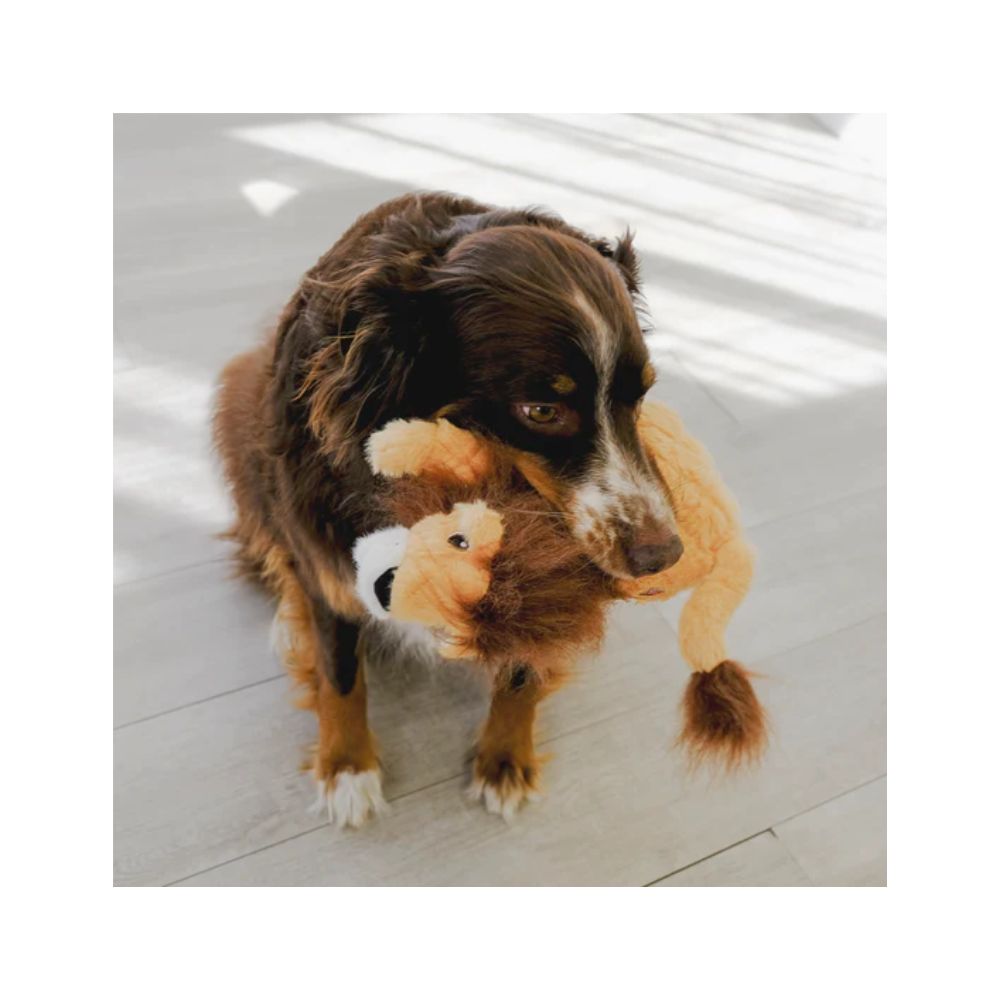 Kong Leon Scamper Mediano