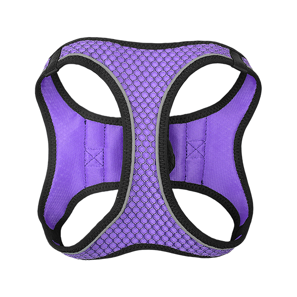 FANCY PETS SET ARNES Y CORREA SPORTIE INT VIOLETA