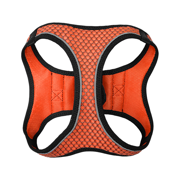 FANCY PETS SET ARNES Y CORREA SPORTIE INT NARANJA