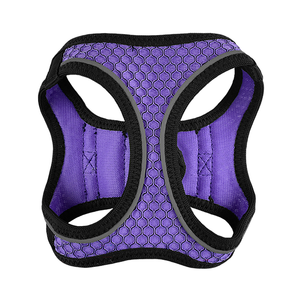 Fancy Pets Arnes Y Correa Sportie Xch Violeta
