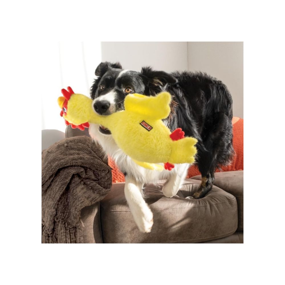 KONG POLLO SCRUFFS MED/GDE