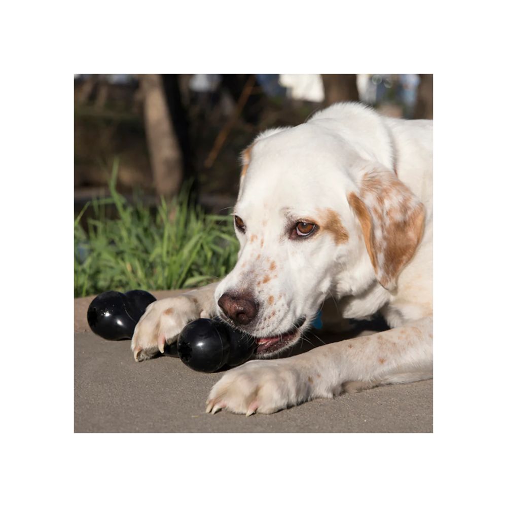 KONG HUESO EXTREME GOODIE GRANDE