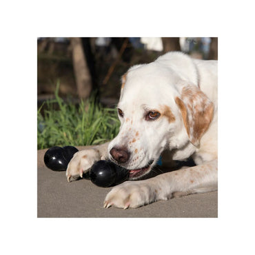 Kong Hueso Extreme Goodie Med