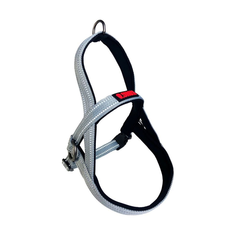 Kong Arnes Noruego Gris Xl