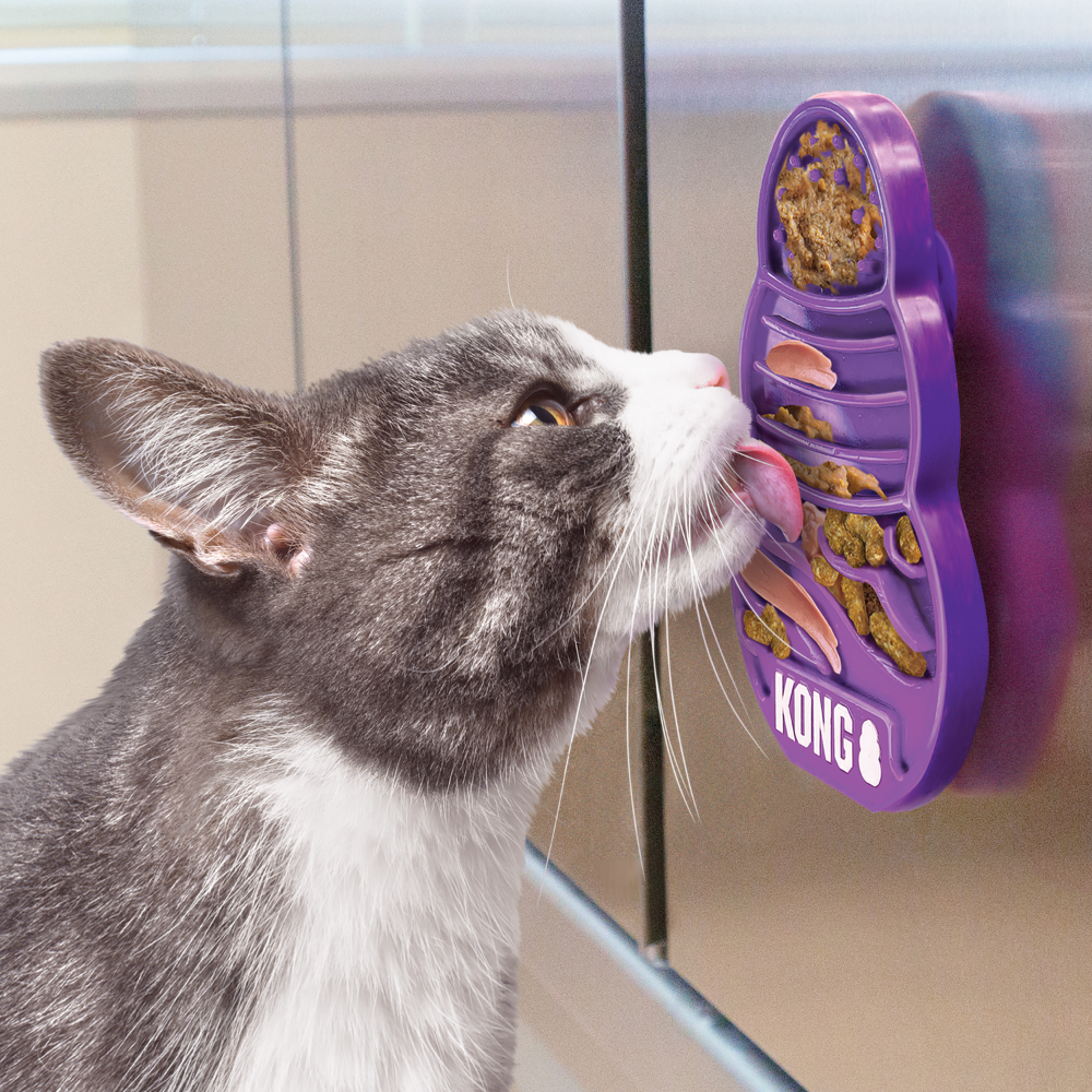 Kong Plato Interactivo Para Gatitos